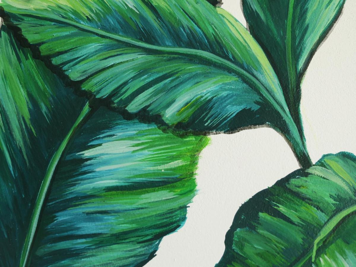 Art Maya Rooms Isla Holbox Bagian luar foto