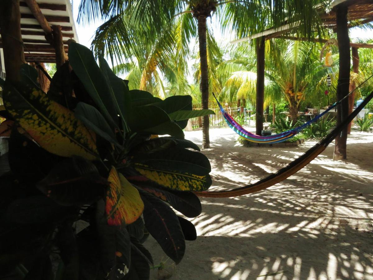 Art Maya Rooms Isla Holbox Bagian luar foto